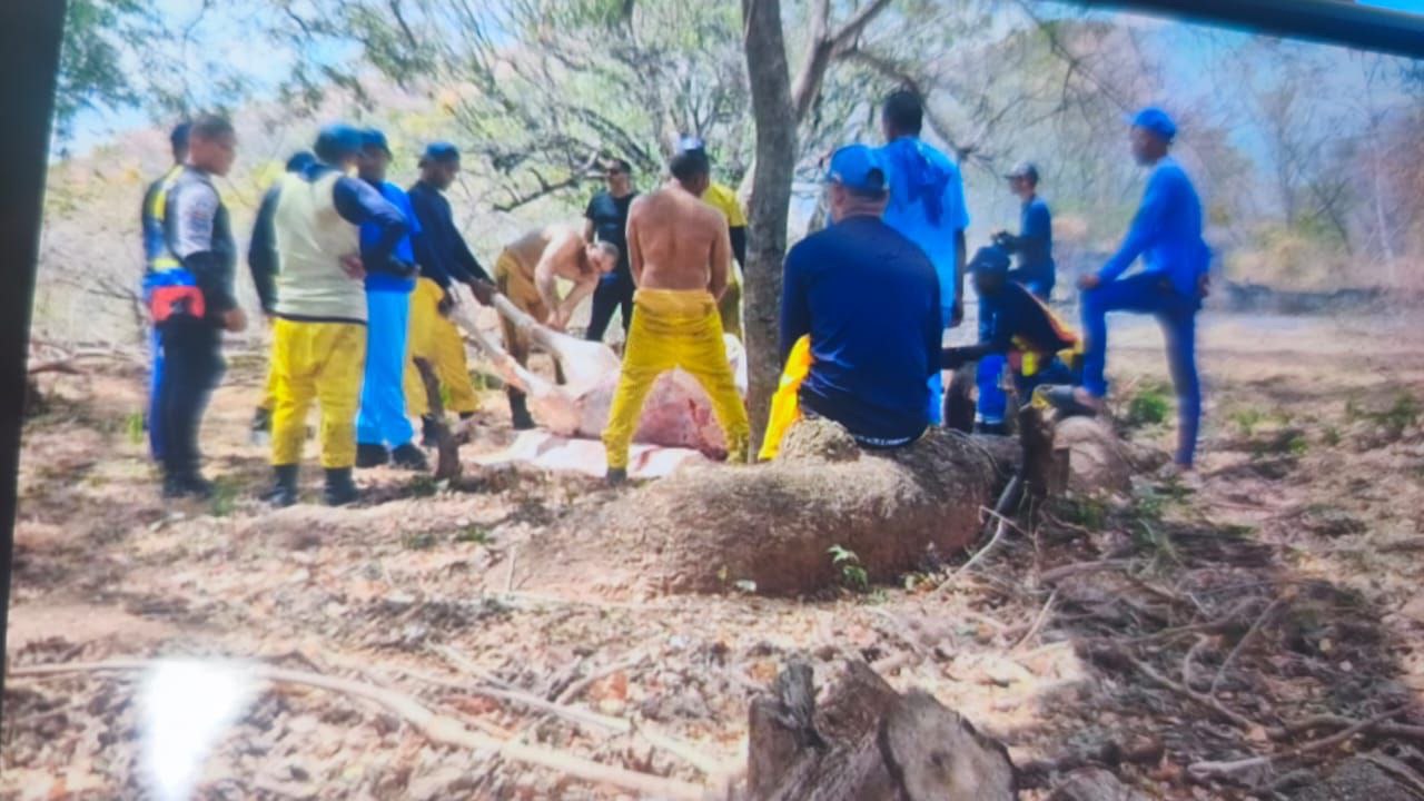 Denuncian presunto cuatrerismo desde la Cárcel 26 de Julio en San Juan de los Morros