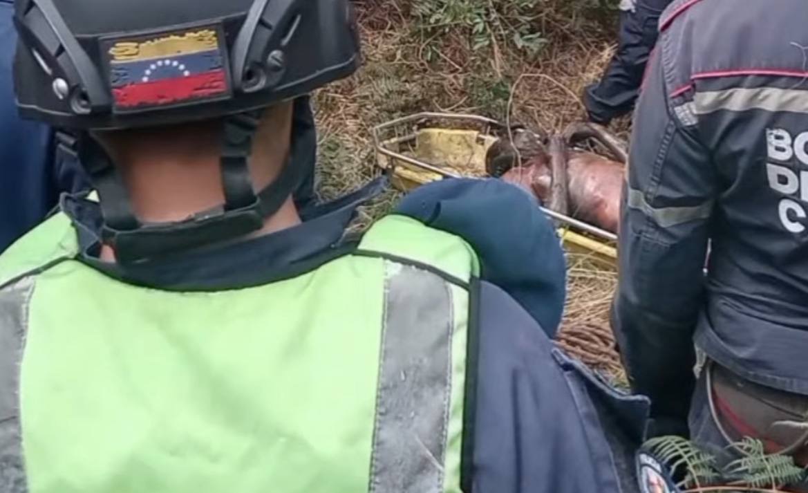 ? Localizan sin vida a adulto mayor desaparecido en carretera Mamera–El Junquito