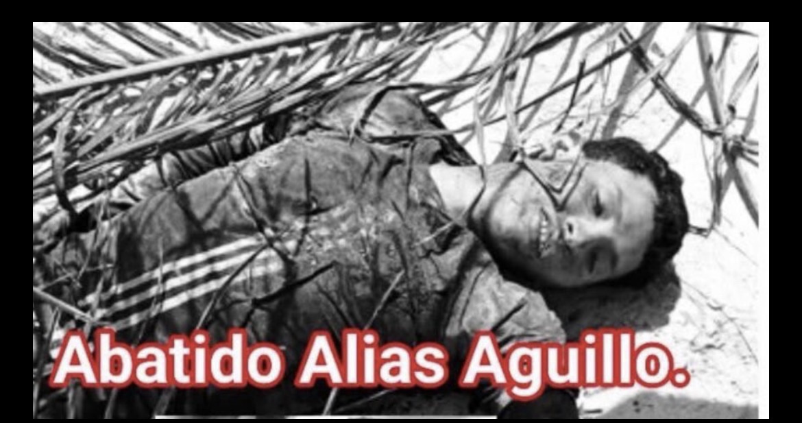 integrante del ELN abatido en territorio venezolano